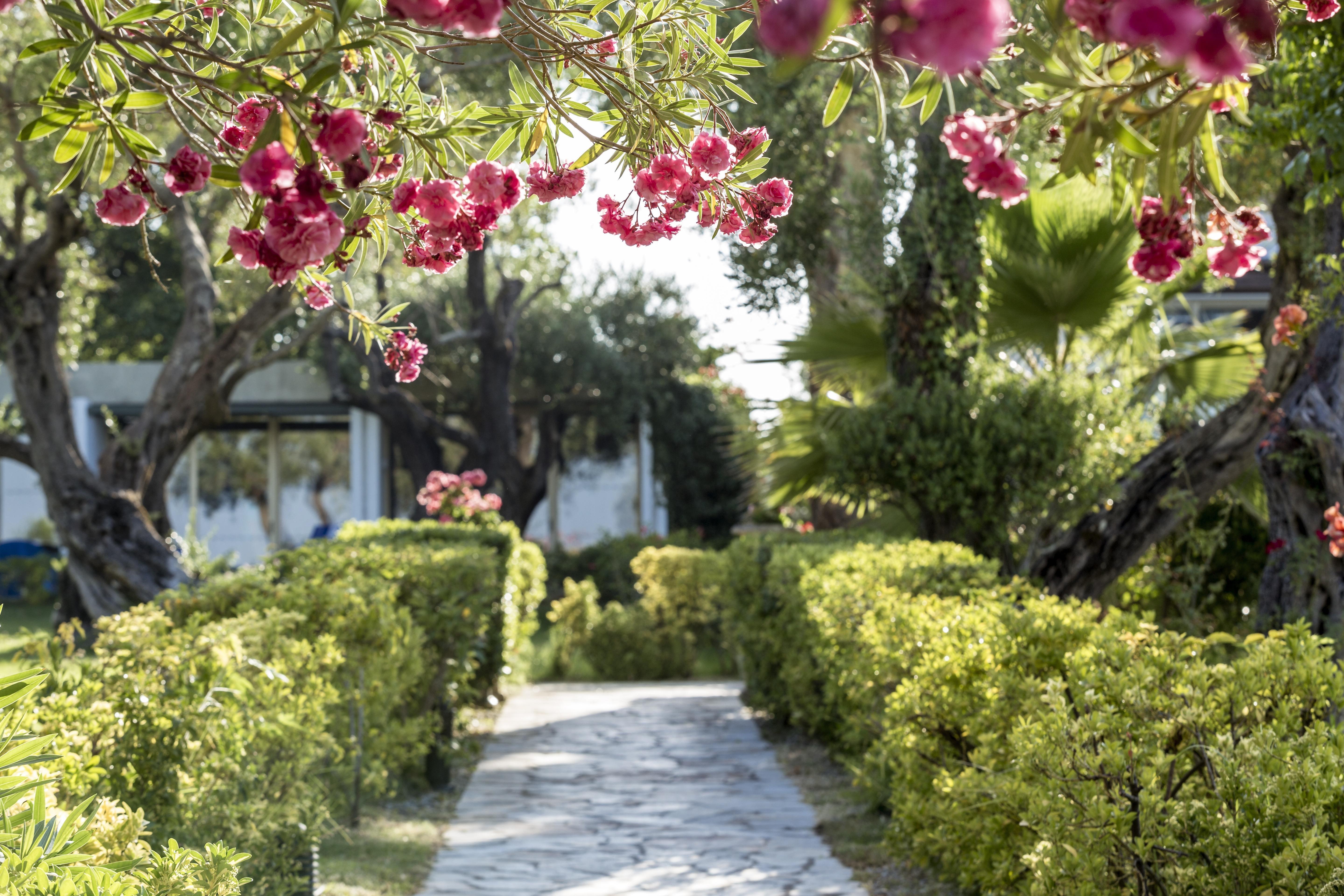 Kontokali Bay Resort & Spa Exterior foto A path in the garden