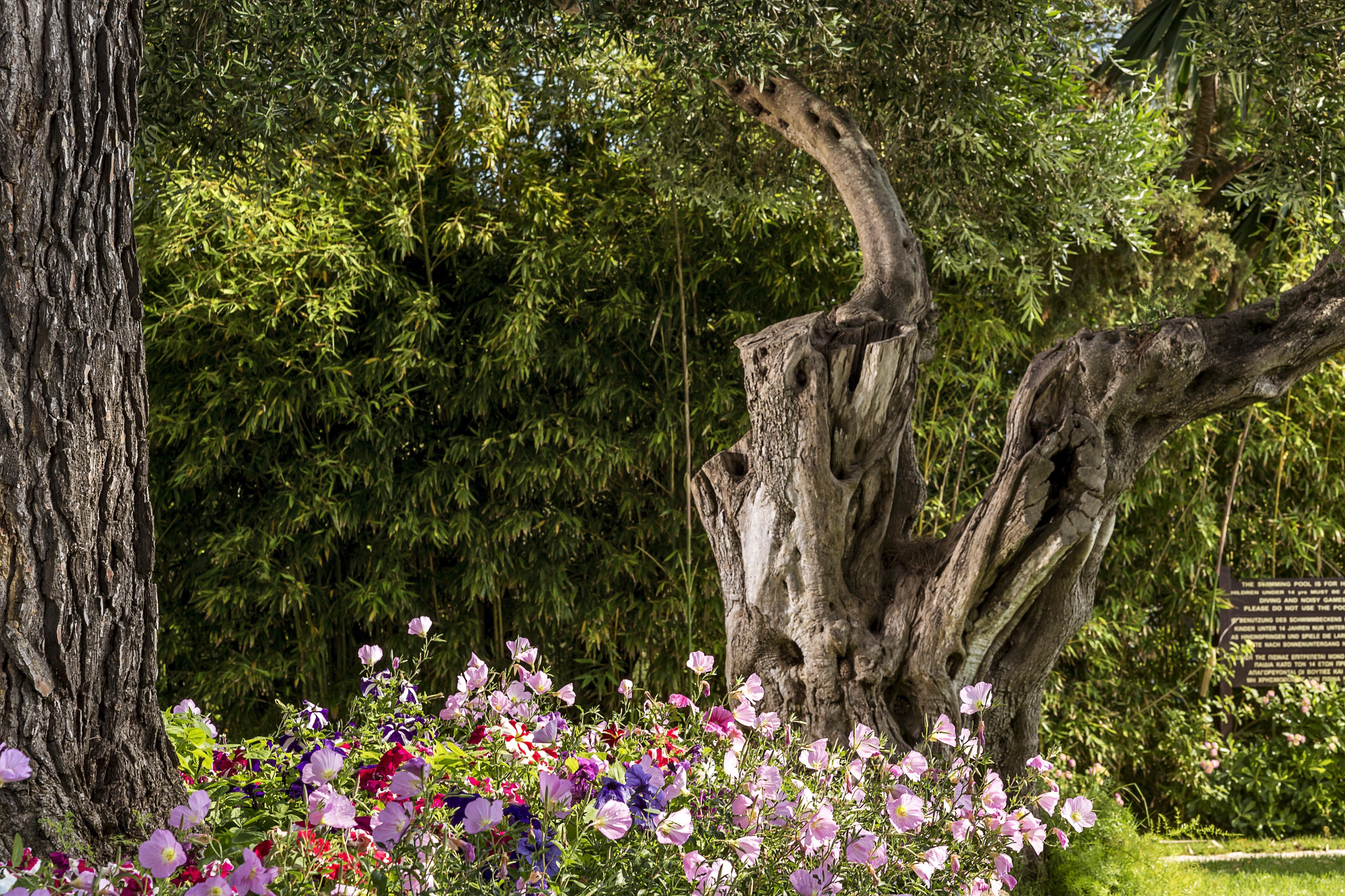 Kontokali Bay Resort & Spa Exterior foto The gardens of the Château de Chaumont